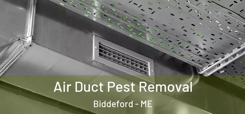  Air Duct Pest Removal Biddeford - ME