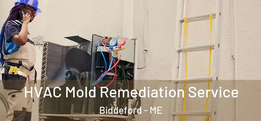  HVAC Mold Remediation Service Biddeford - ME