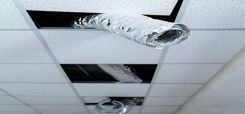 Affordable HVAC Sanitizing After Pest Removal in Biddeford