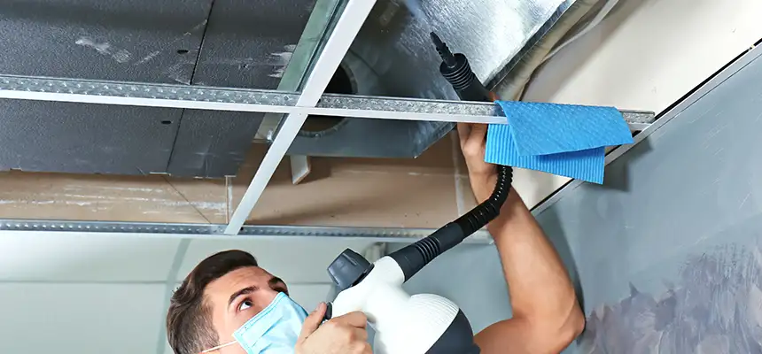 Our Air Duct Rodent Removal Services in Biddeford, ME