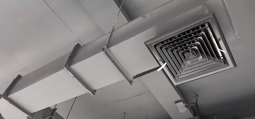 Our Pest Removal From Ducts Services in Biddeford, ME