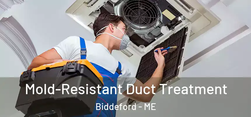  Mold-Resistant Duct Treatment Biddeford - ME