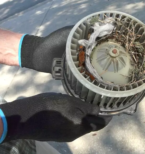 About Air Duct Mice Removal in Biddeford, ME