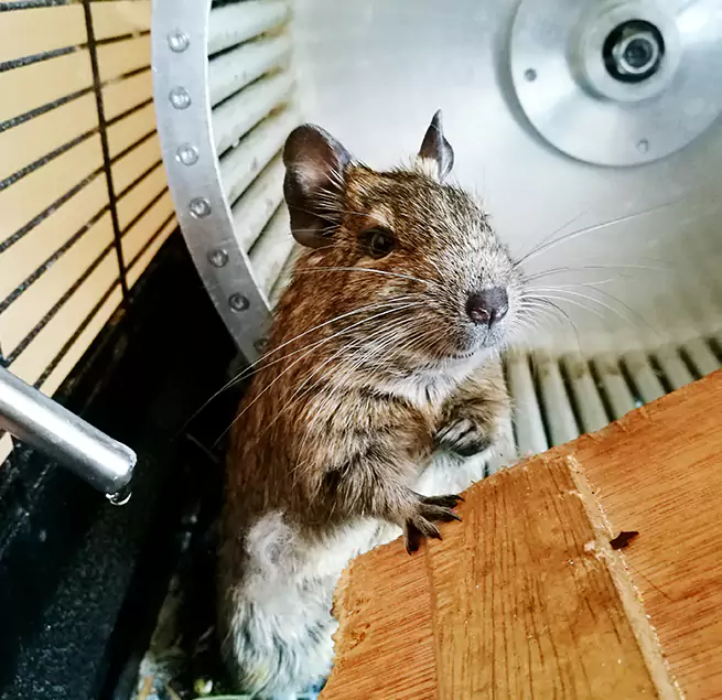 Why Homeowners & Businesses Trust Us Biddeford, ME?